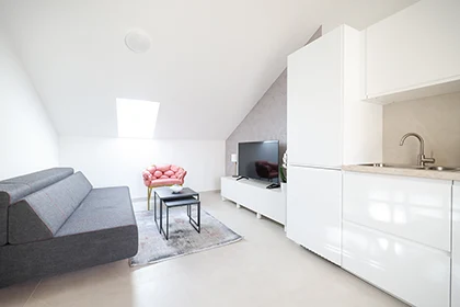Apartments Mila - Afrodita apartment