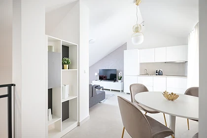 Apartments Mila - Afrodita apartment